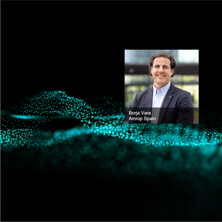 Amrop Borja Vara Executive Search Spain
